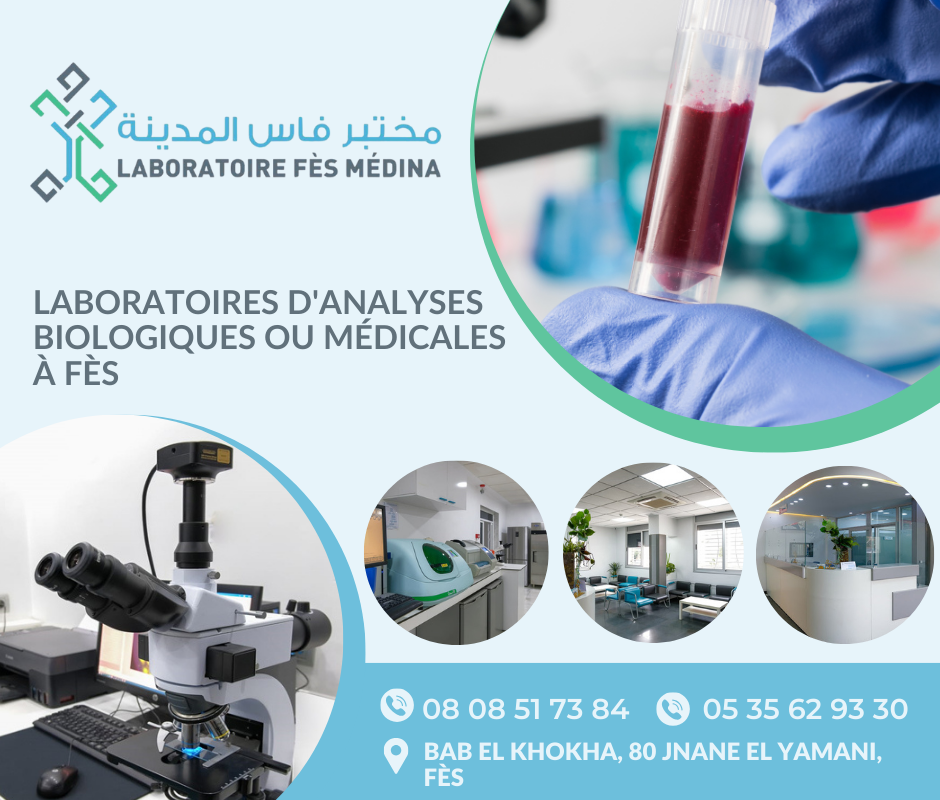 Page Laboratoire Fés Medina